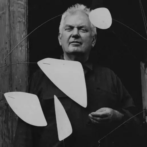 Alexander-Calder IKONO 2.webp