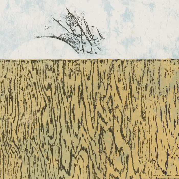 IKO496-ERN-41x30-Lithography 37-99-Max ERNST-c.webp